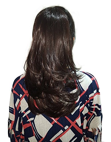 Raaya Clip-In Synthetic Hair Extensions for Women & Girls - Light Brown (1 Pack) | Easy Hair Styling for Daily Wear, Parties & Special Occasions