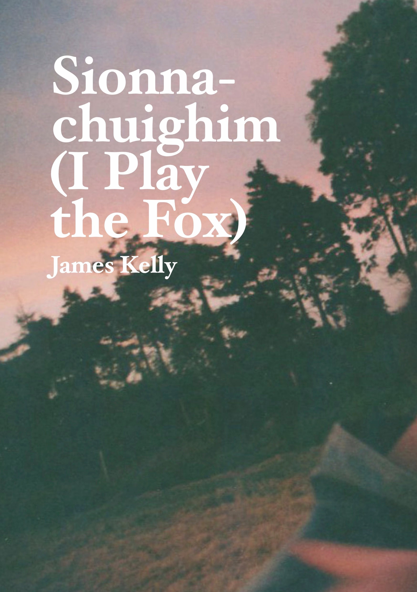 James Kelly - Sionnachuighim (I Play the Fox) Traditional Irish Music Album | Perfect for Celtic Music Lovers & Irish Dance Enthusiasts
