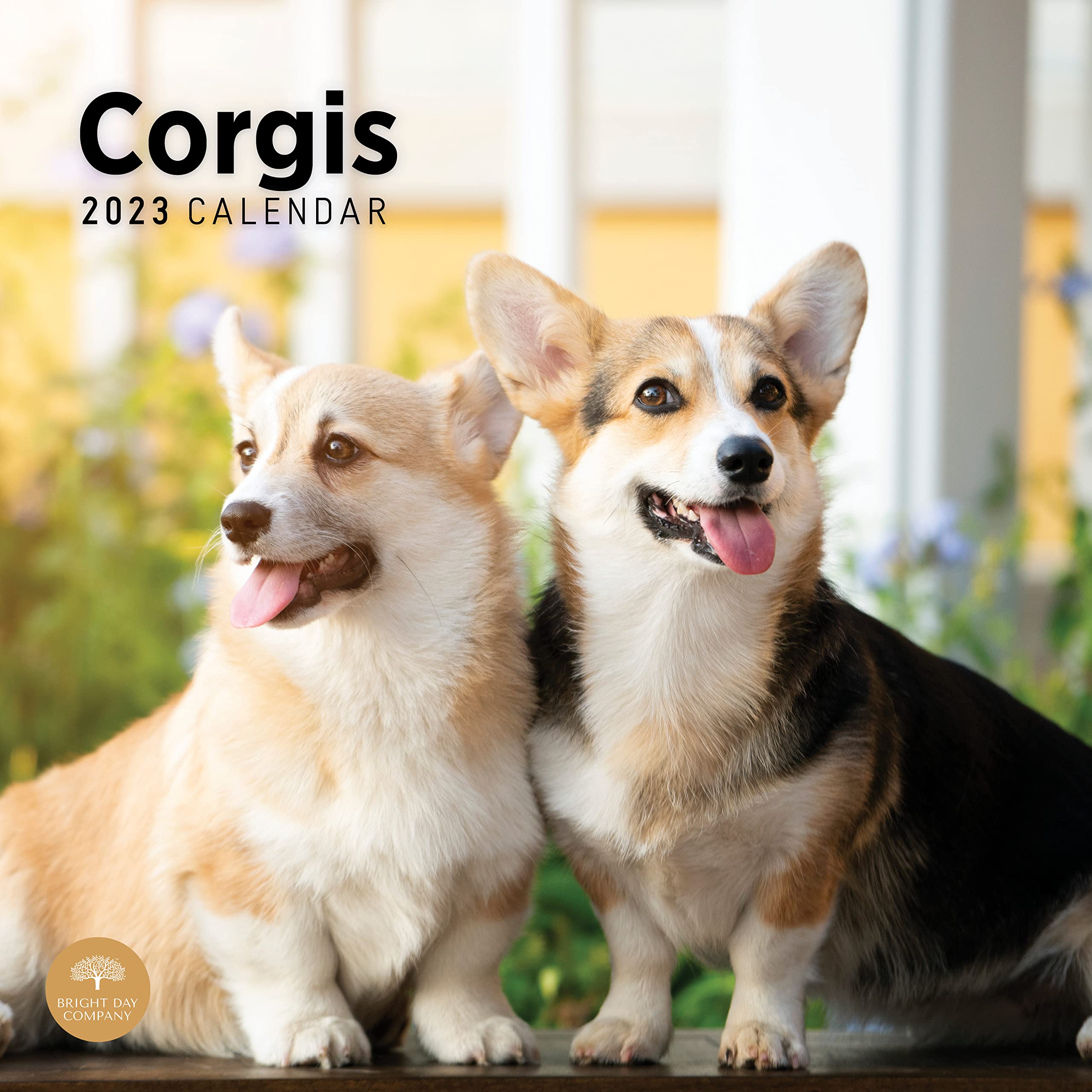 2023 Corgi Dog Wall Calendar - 12x12 Inch Monthly Planner with Cute Corgi Puppy Photos - Perfect for Home, Office, or Gift (Bright Day)