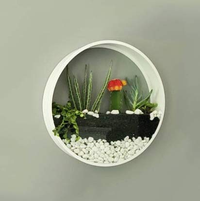Ecosides 8