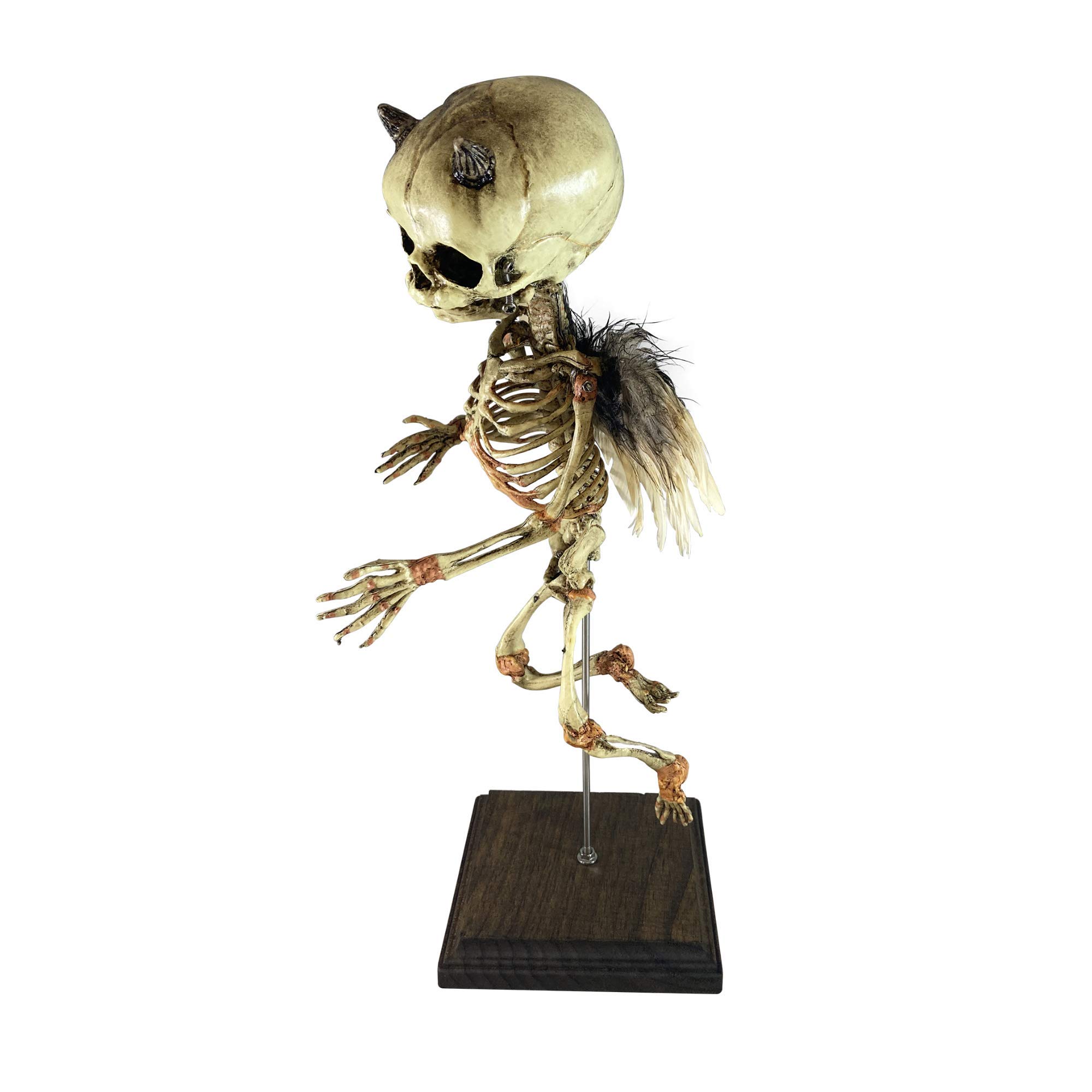 Incubus Rising Demon Fetus Skeleton Oddity - Unique Demonic Medical Specimen Collectible for Horror Decor, Gothic Display & Halloween Props (Beige, One Size)