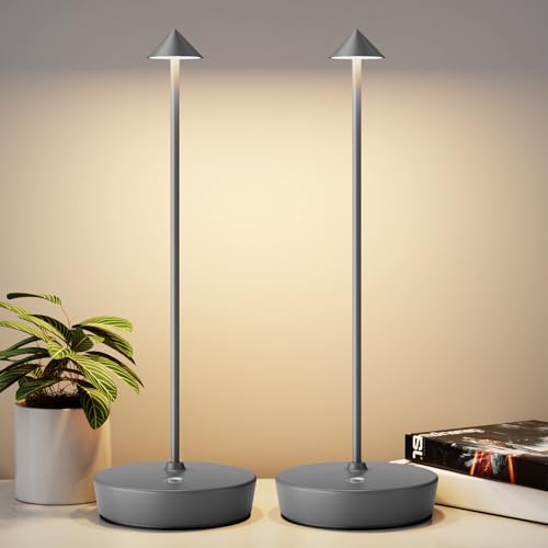 2pack Gray