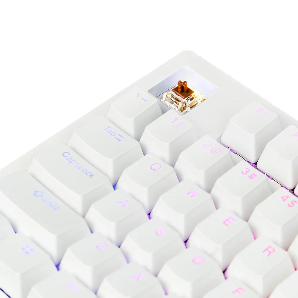 Aftershock Oden V2 TKL 87-Key Wired Mechanical Gaming Keyboard (White) - Compact Design for PC Gamers & Office Work