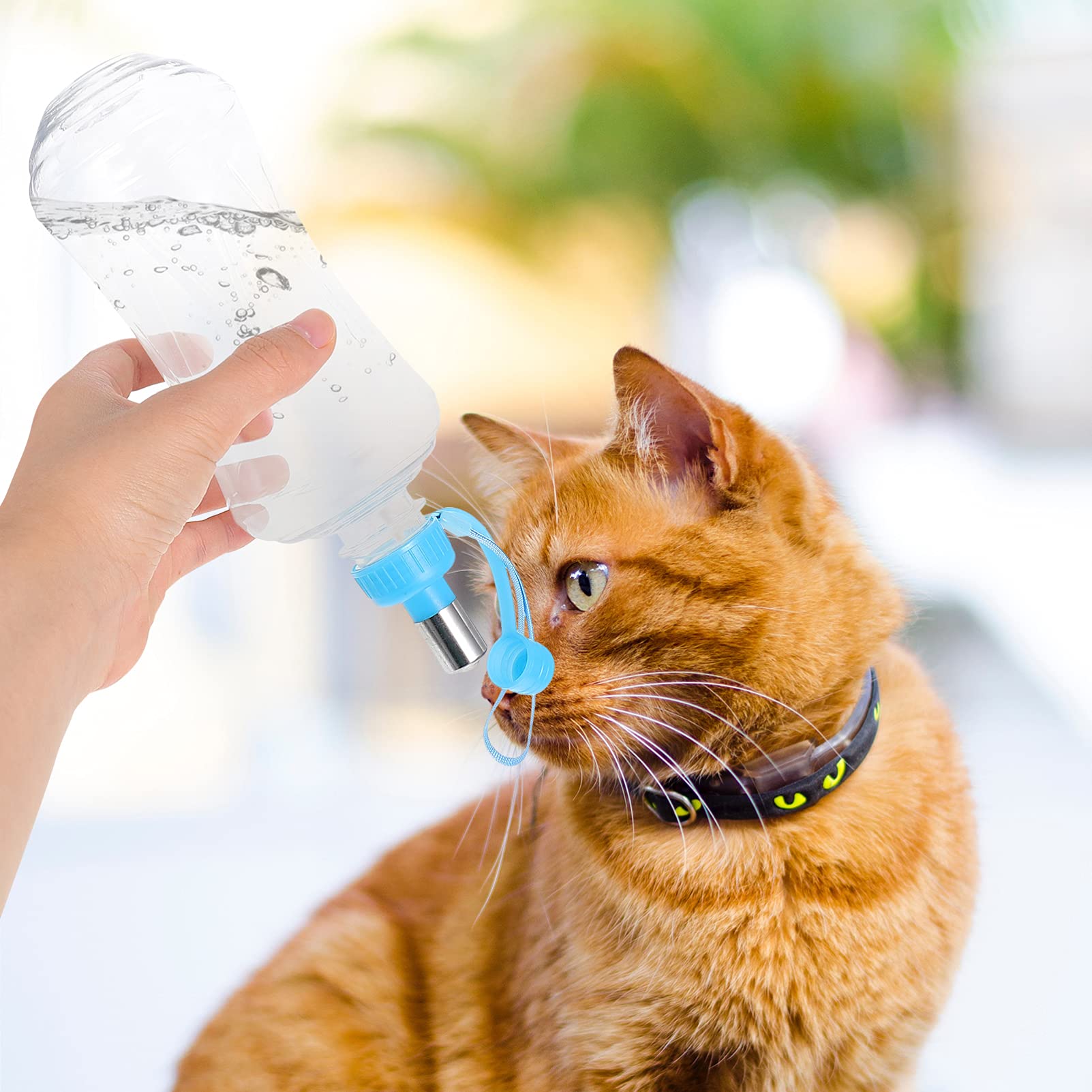 2 Pack Portable Pet Water Bottle with Drinking Spout - Leakproof Travel Dog Water Dispenser for Small Animals, Cats & Dogs - Ideal for Hiking, Walking, Camping & Outdoor Adventures