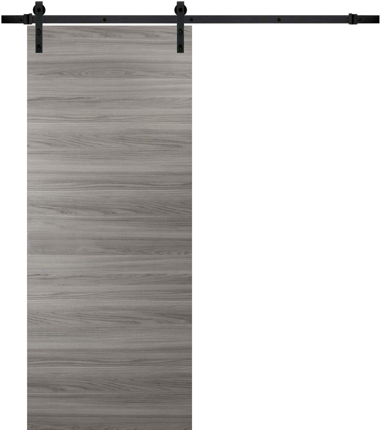 32 x 96 Inch Sliding Barn Door with Hardware Kit - Planum 0010 Ginger Ash Finish | 6.6FT Steel Rail System with Hangers & Stops | Modern Solid Panel Interior Door for Closet, Bedroom, Pantry & Farmhouse Style Homes