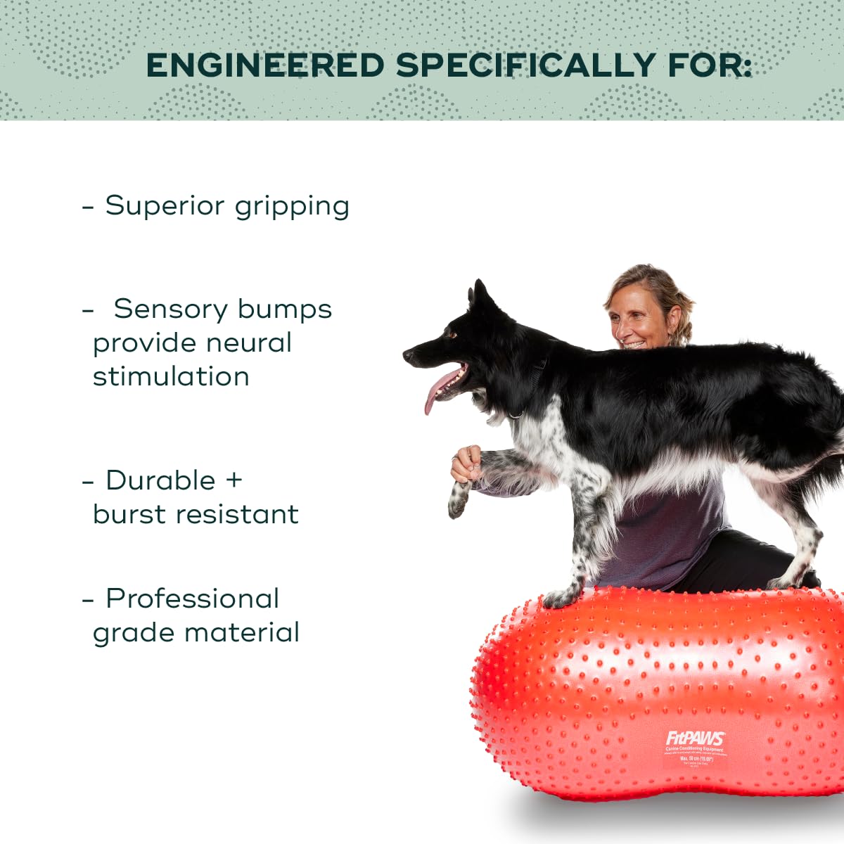 FitPAWS TRAX Balance Peanut 20