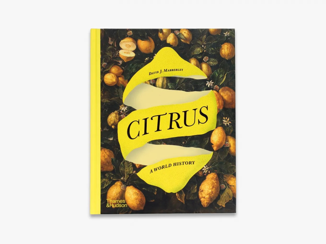 Fresh Organic Citrus Fruits - Oranges, Lemons, Limes & Grapefruits - Perfect for Juicing, Cooking & Healthy Snacking