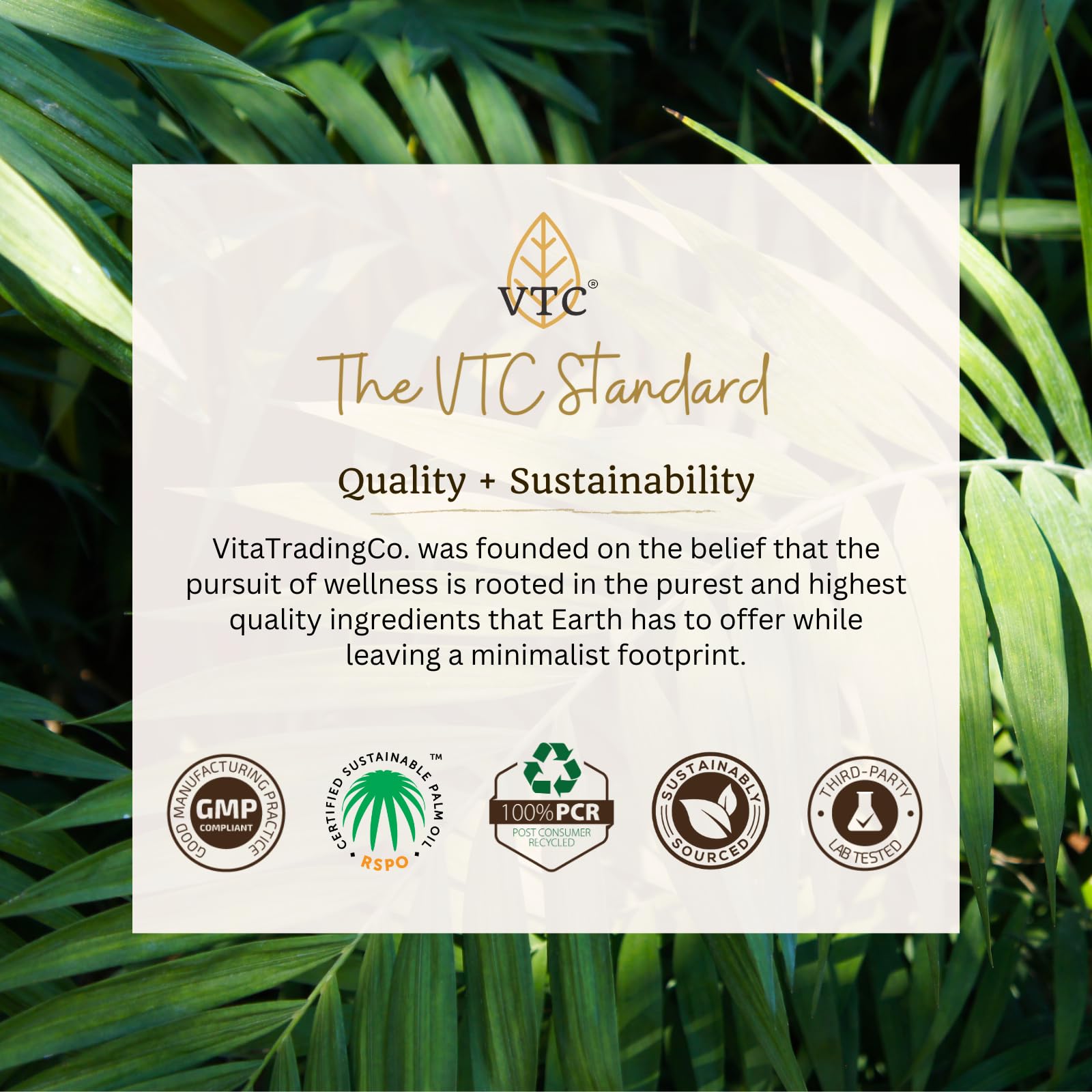VitaTradingCo. 100% Pure C8 MCT Oil | 3X Distilled Caprylic Acid | Keto & Paleo Friendly | Non-GMO, Sustainably Sourced | Supports Energy & Focus | 128oz (1 Gallon), 256 Servings | Perfect for Coffee, Smoothies & Keto Baking
