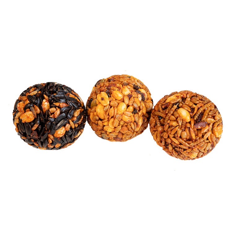 Sizzling Seed Ball Variety Pack - 18 Assorted Seed Balls for Gardening | Perfect for Home Gardens, Balcony Planters & DIY Planting Projects