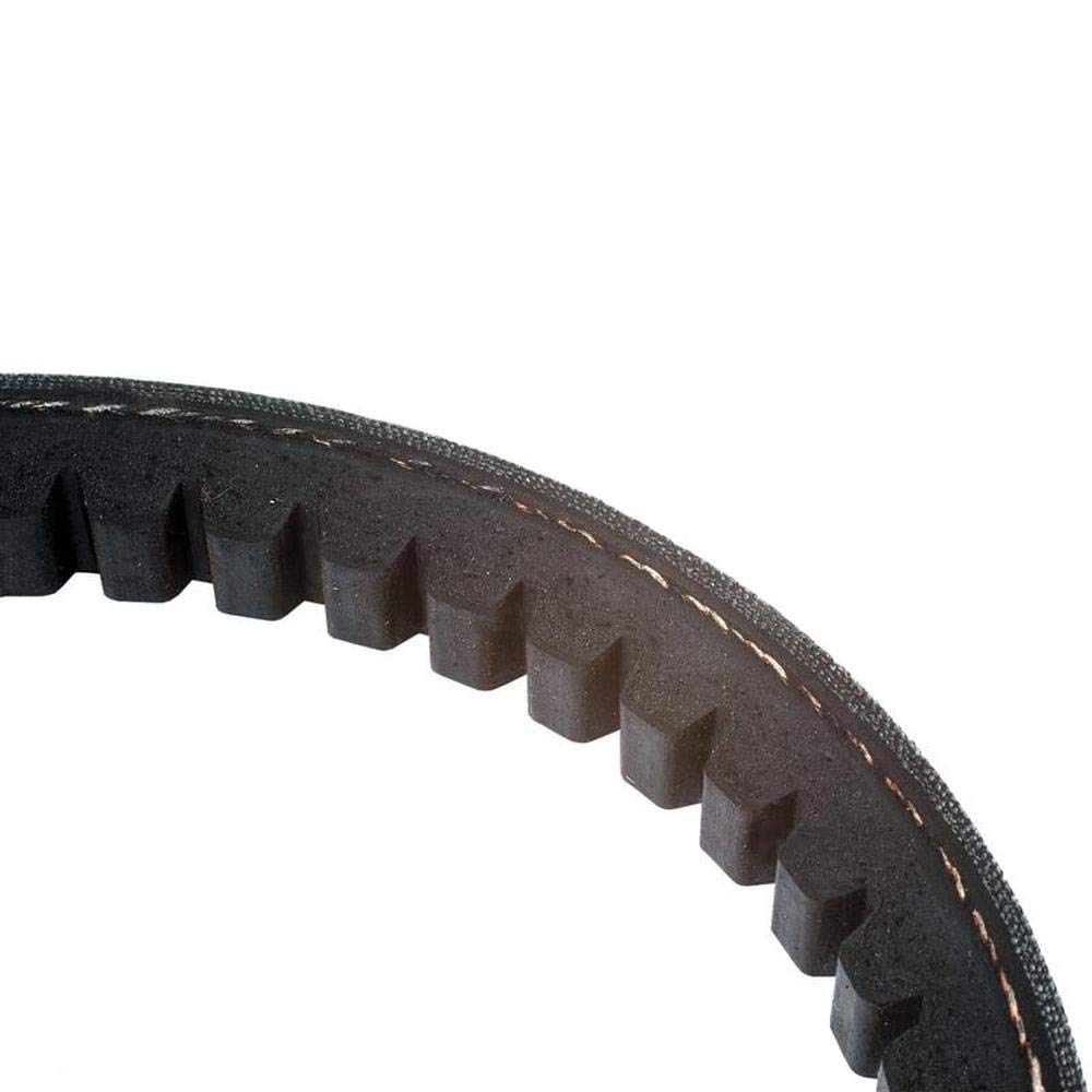 RAParts S.19121 Raw Edge Molded Cogged Belt - Replacement Belt AVX171460 for Industrial Machinery & Automotive Applications