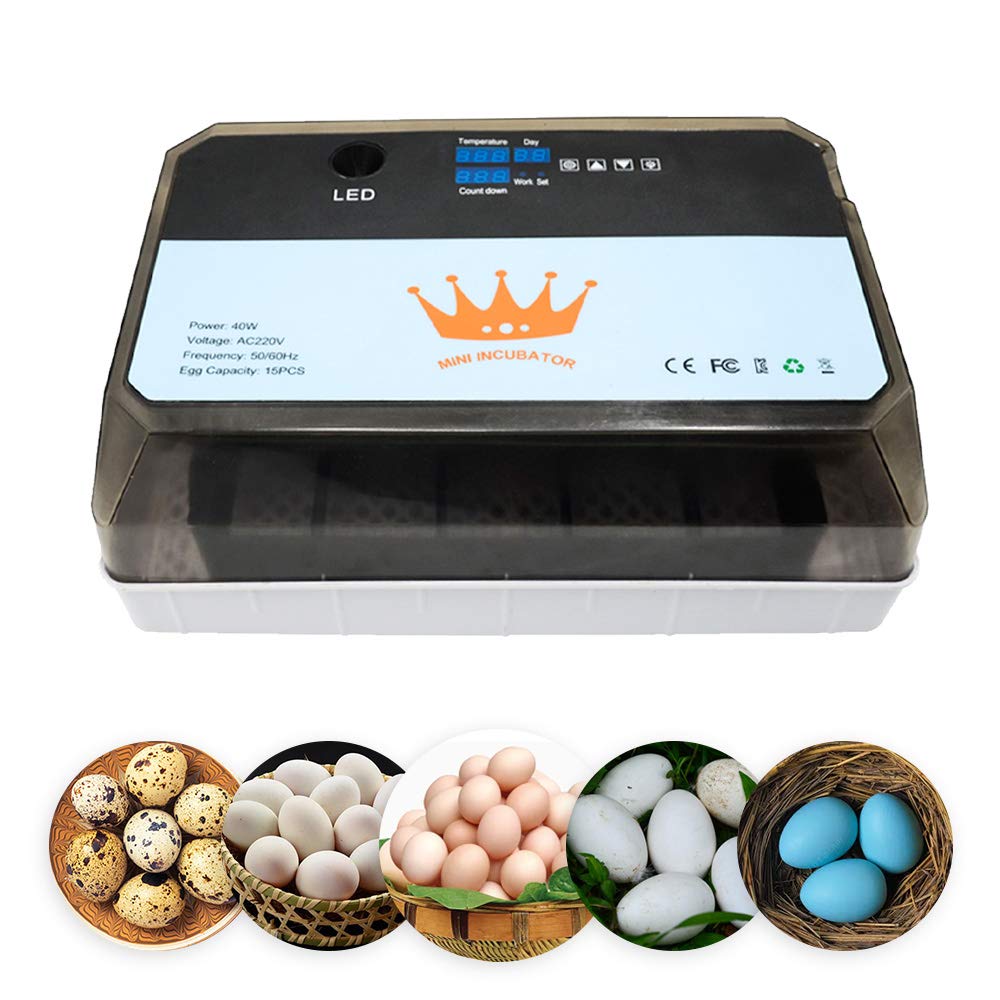 Automatic Egg Incubator for Chickens Ducks & Birds - 15 Egg Capacity with Temperature Control - Perfect for Home Poultry Farming & Hobby Breeding