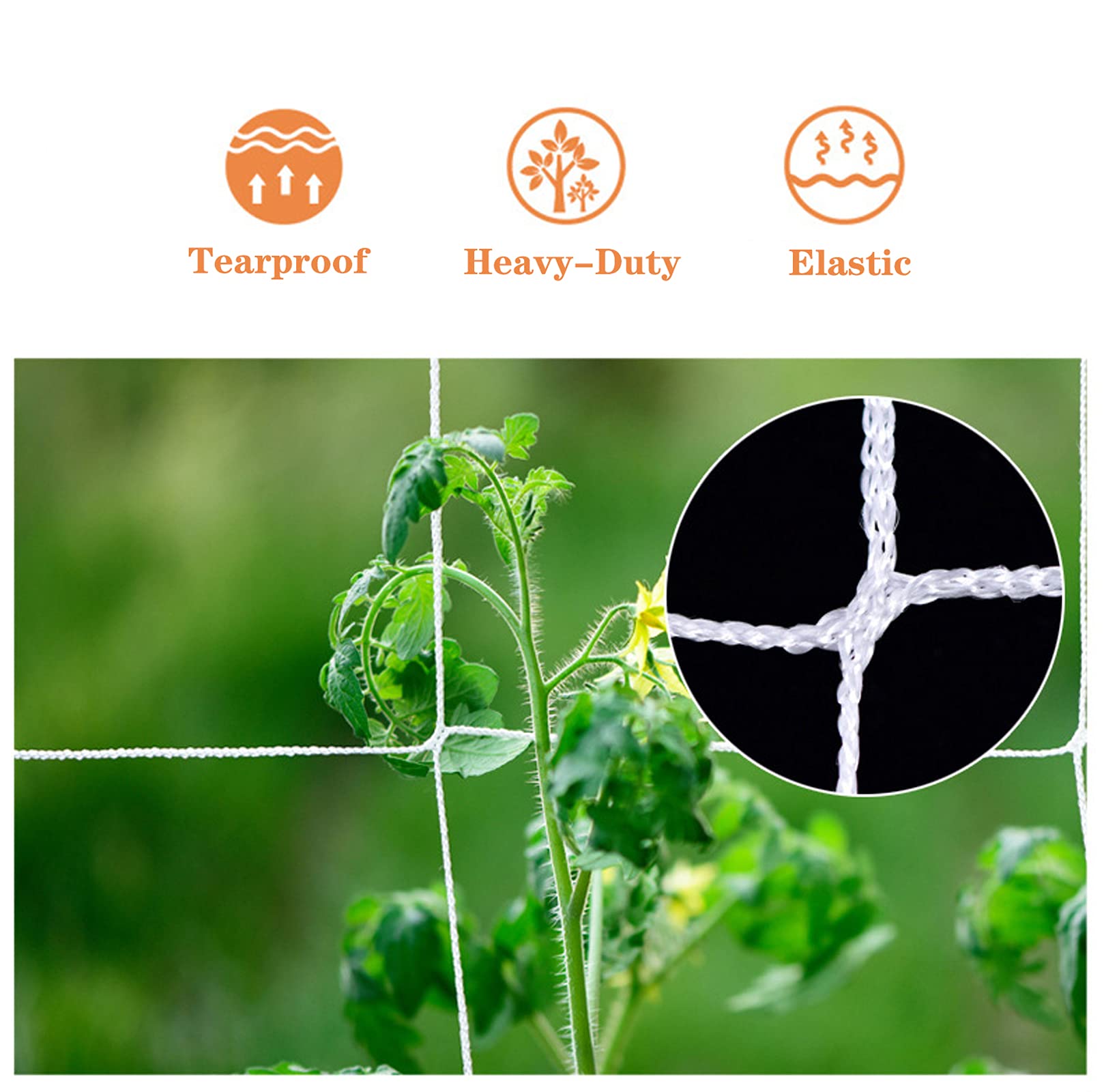 Heavy Duty Polyester Plant Trellis Netting - 5x30ft Square Mesh Support Net for Climbing Plants, Fruits, Vegetables - Durable Garden Trellis for Cucumbers, Tomatoes, Peas - 1 Pack - Perfect for Vertical Gardening & Backyard Farming