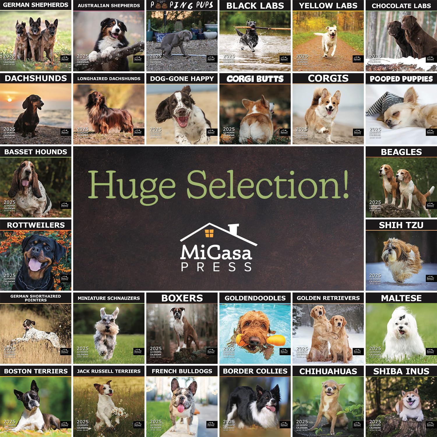 MICASA Pooped Puppies 2025 Wall Calendar - 12 Month Dog Lover Calendar (12