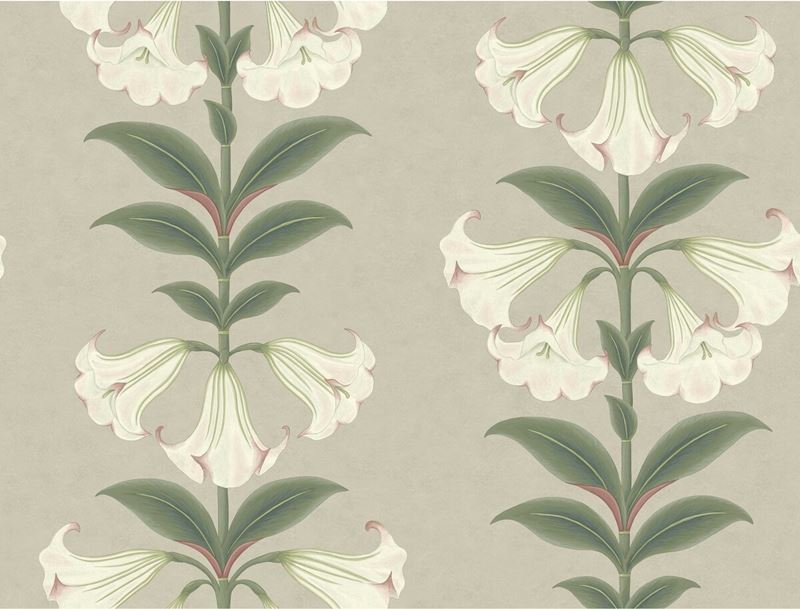 Cole and Son Angels Trumpet Green Botanical Wallpaper - Premium Peel & Stick Wallpaper for Living Room, Bedroom, and Office Decor