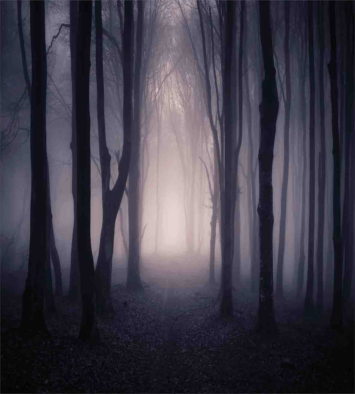 Ambesonne Forest Duvet Cover Set - King Size 2-Pack with 2 Duvet Covers & 4 Pillowcases, Dark Grey Purple Woodland Fog Halloween Design with Twisted Branches - Perfect for Spooky Bedroom Decor, Halloween Party & Gothic Home Theme