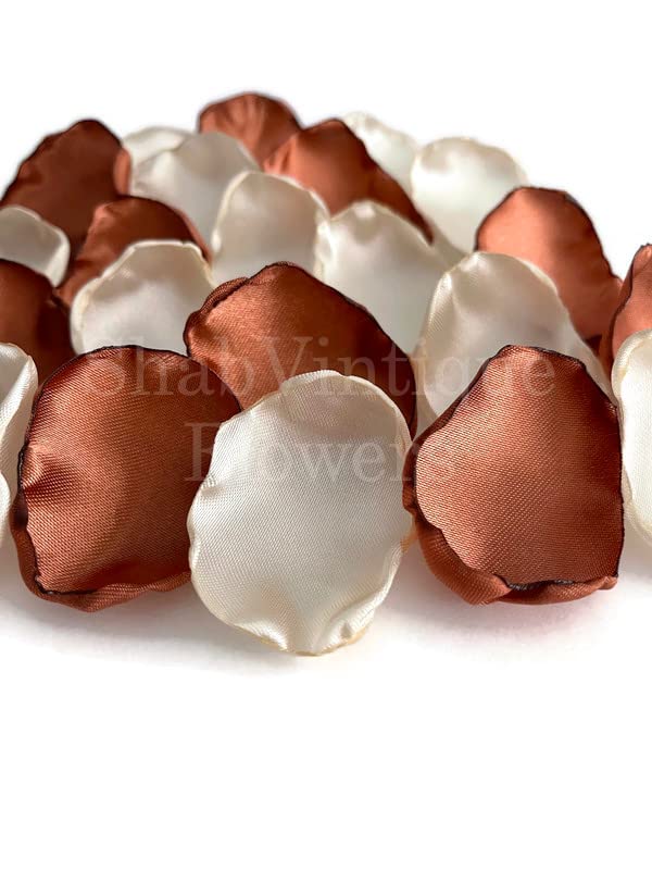 Terracotta Ivory 100 Flower Petals - Boho Rustic Wedding Decor, Birthday Party Aisle Decoration | Perfect for Wedding Ceremonies, Bridal Showers & Outdoor Events