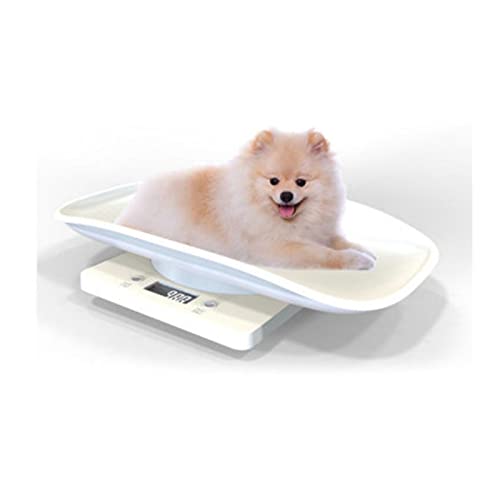 White 10KG-1g