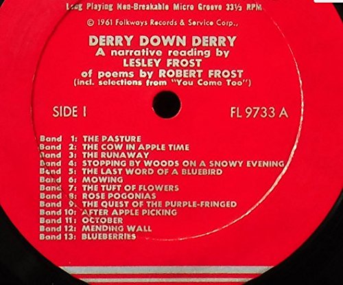 Derry Down Derry: A Narrative Reading LP with Selections from 'You Come Too' – Perfect for Poetry Lovers, Book Clubs & Relaxing Evenings