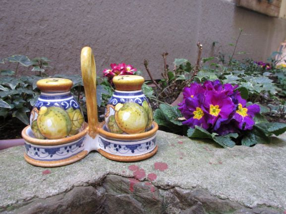 Premium Ceramic Salt and Pepper Shaker Set - Elegant Kitchen Tableware for Home, Restaurants & Gifting