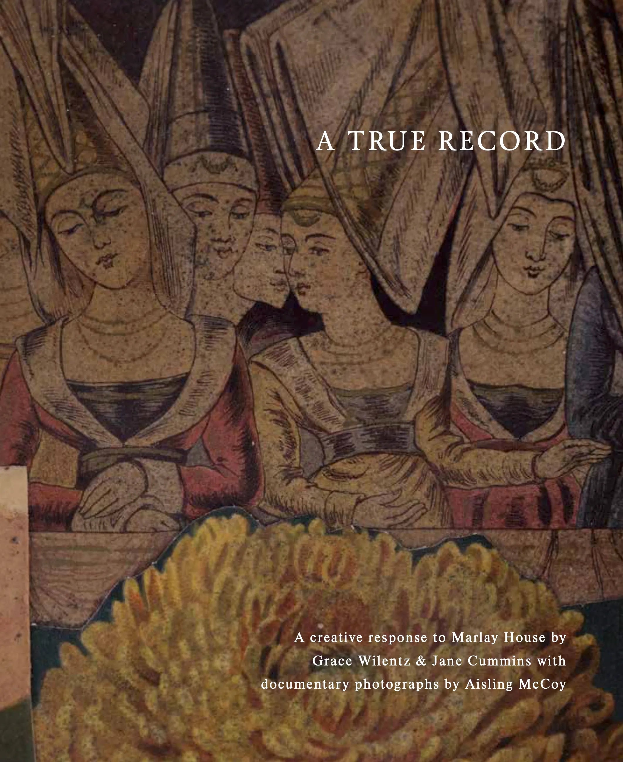 Grace Wilentz and Jane Cummins - A True Record | Memoir & Biography | Perfect for Book Clubs, Literary Enthusiasts, and Personal Reflection