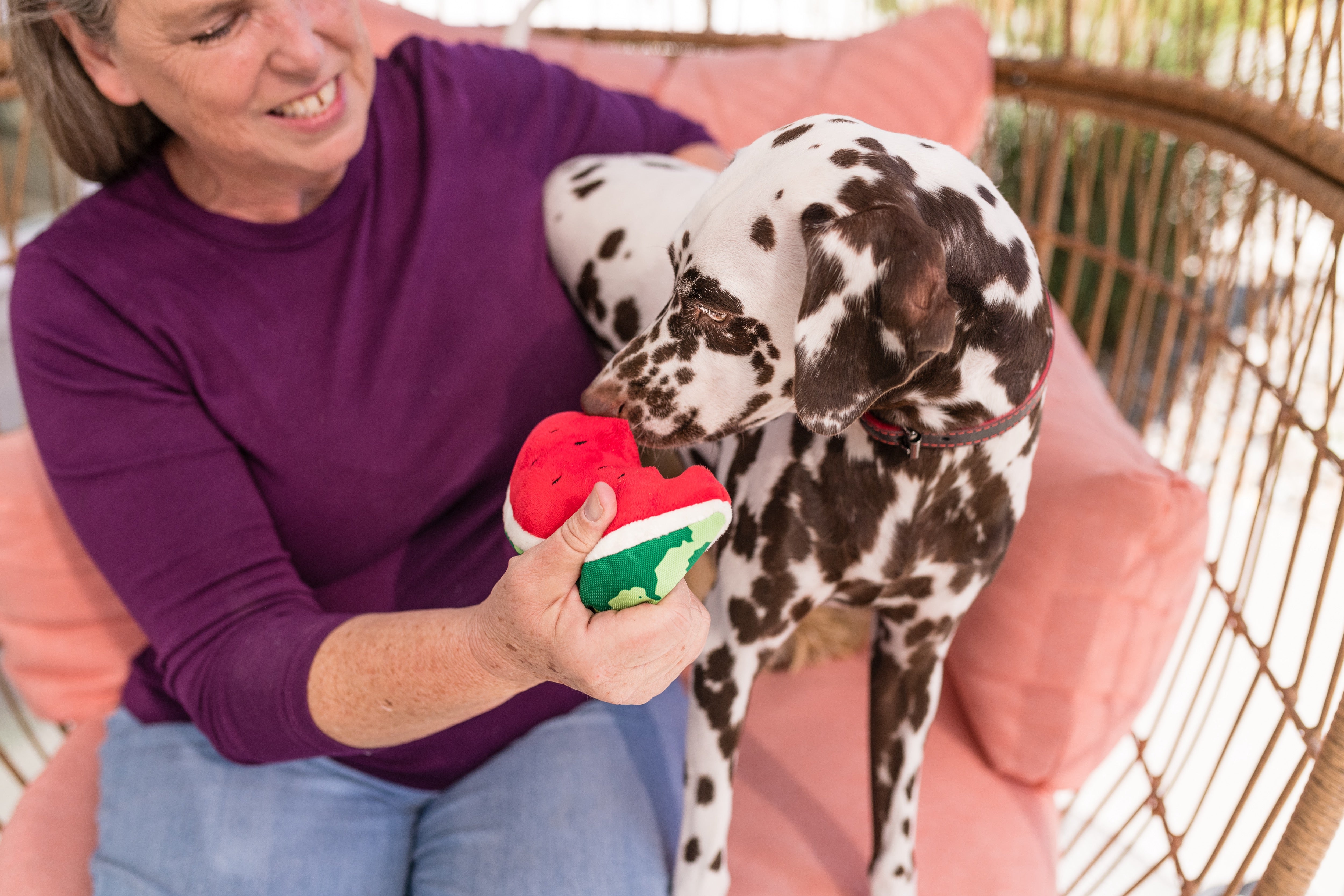 Tropical Paradise™ Watermelon Dog Plush Toy - Durable & Fun Chew Toy for Small & Large Dogs | Perfect for Playtime, Training & Cuddling | Pet P.L.A.Y.