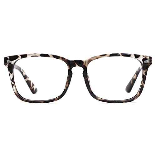 (02)-leopard