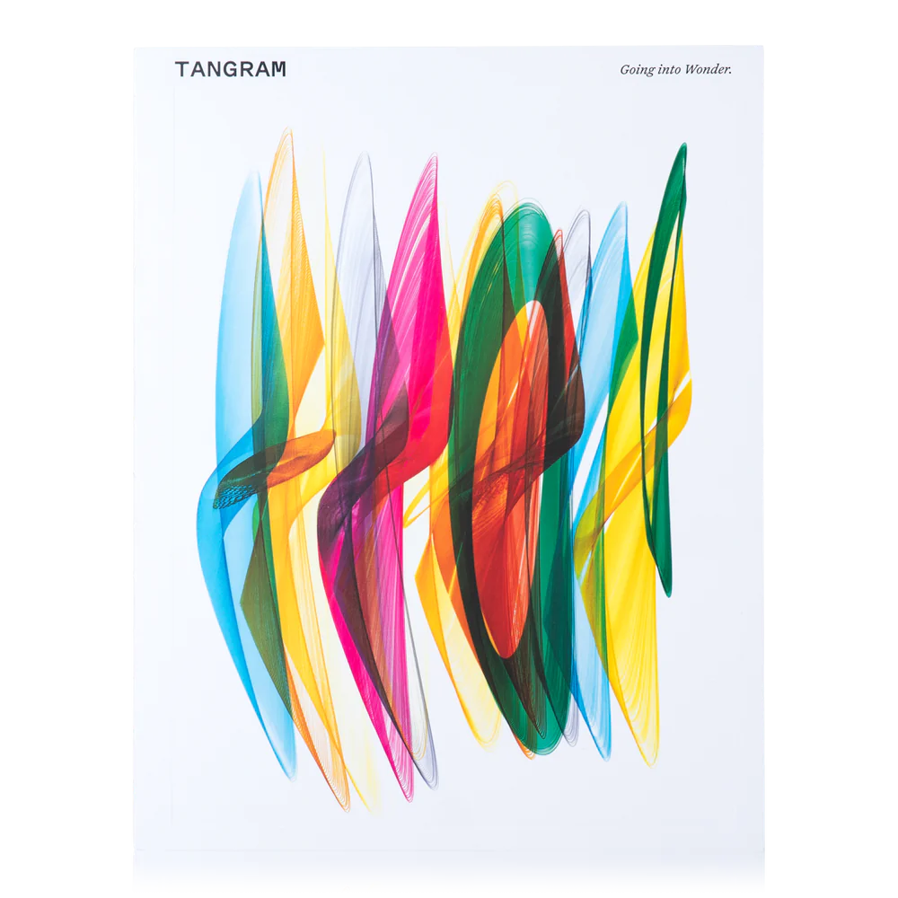 Tangram Vol 3 Puzzle Set - Brain Teaser & Educational Toy for Kids & Adults | Perfect for Family Game Night, Classroom Activities & Stress Relief