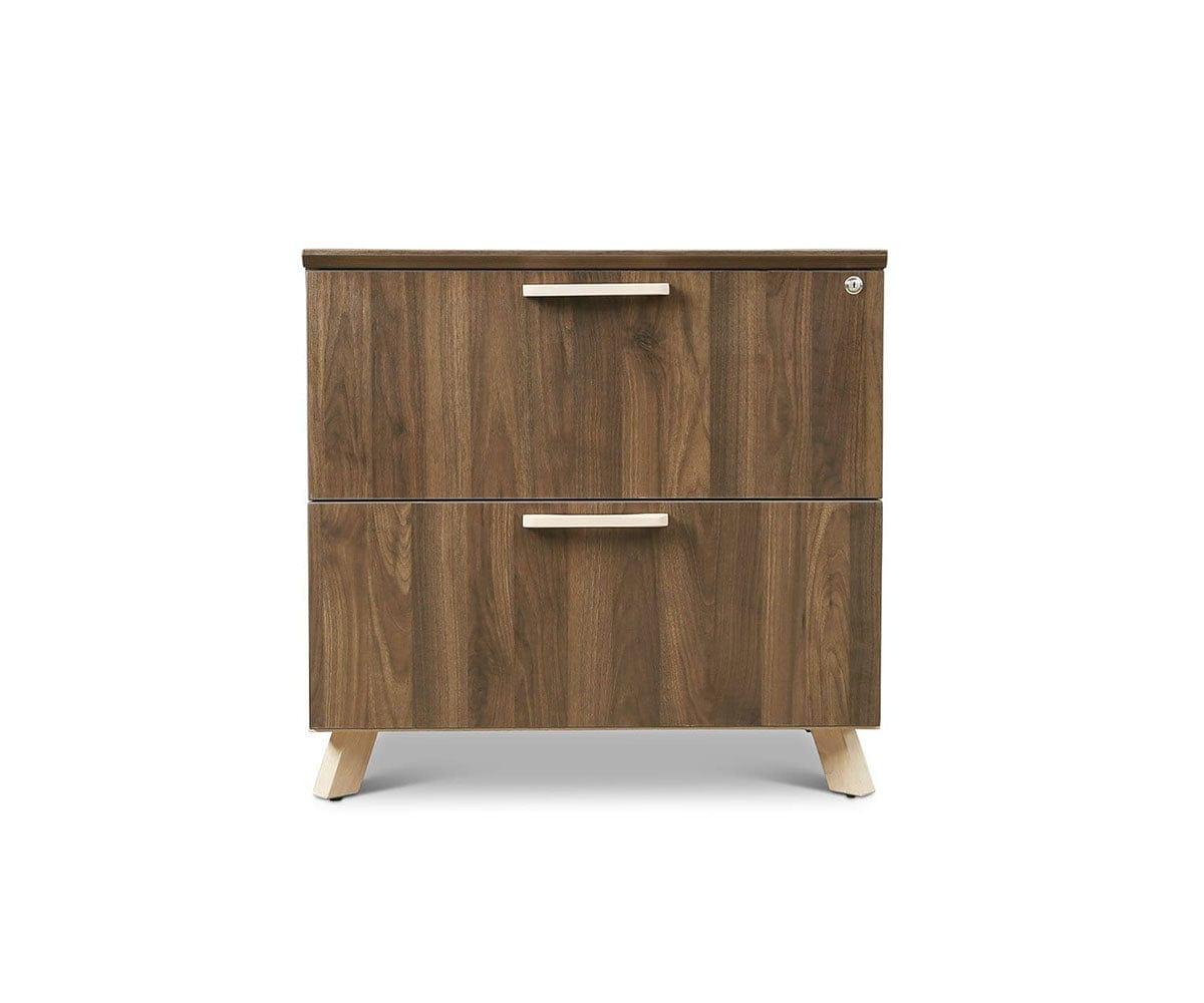 Thorsten Lateral File Cabinet - 2-Drawer Steel Filing Cabinet with Lock, Letter/Legal Size - Home Office Organization & Document Storage Solution