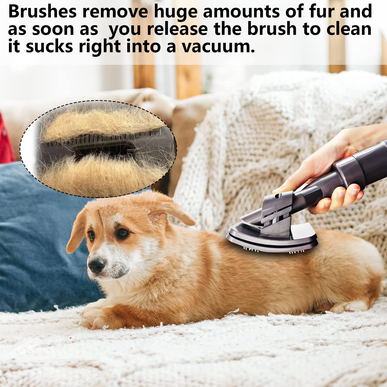 Dyson Pet Grooming Tool Attachment Brush - Compatible with Dyson V15, V12, V11, V10, V8, V7, DC62, DC65 Vacuum Cleaners - Includes Extended Hose & Trigger Lock - Perfect for Pet Hair Removal & Home Cleaning