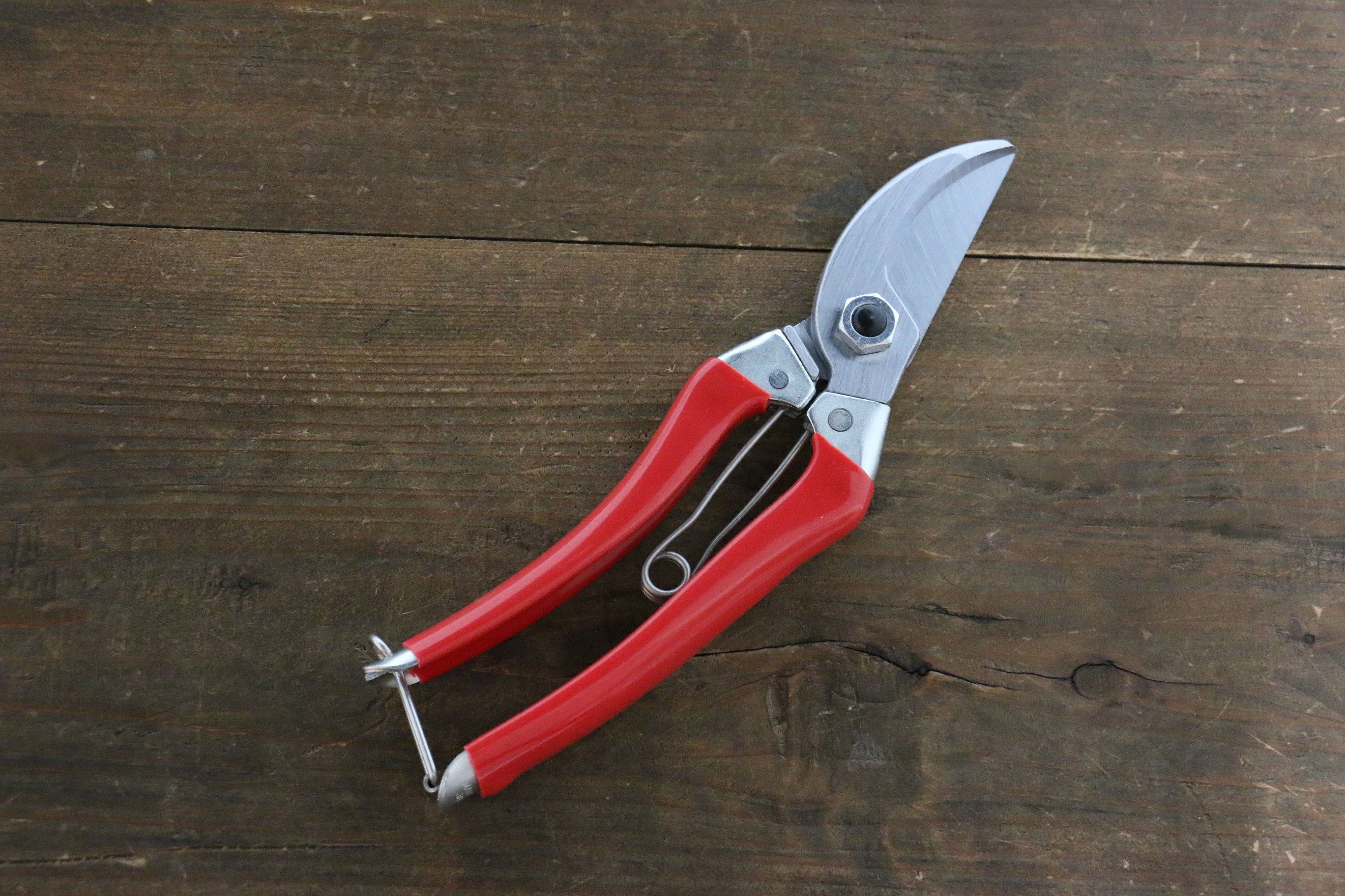 ARS 120S 8-Inch Professional Bypass Pruning Shears - Sharp Gardening Scissors for Trimming Plants, Flowers, and Tree Branches - Ideal for Gardeners, Landscapers, and Home Garden Use