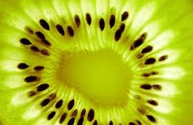 Kiwi Fruit Seeds (Actinidia Chinensis) - Heirloom Vine Plant - 50 Seeds by Seed Kingdom - Perfect for Home Gardening, Organic Farming & DIY Fruit Cultivation