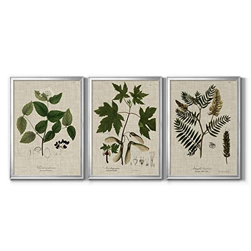 Art S2479-3ss