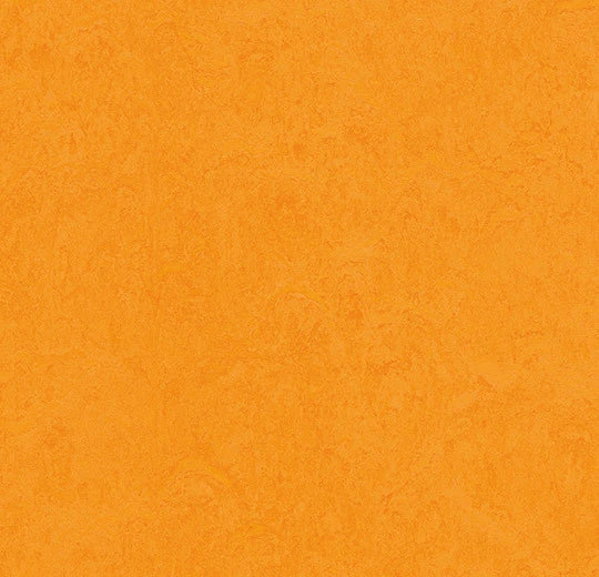 Marmoleum Cinch Loc Seal Panel - Marigold 12