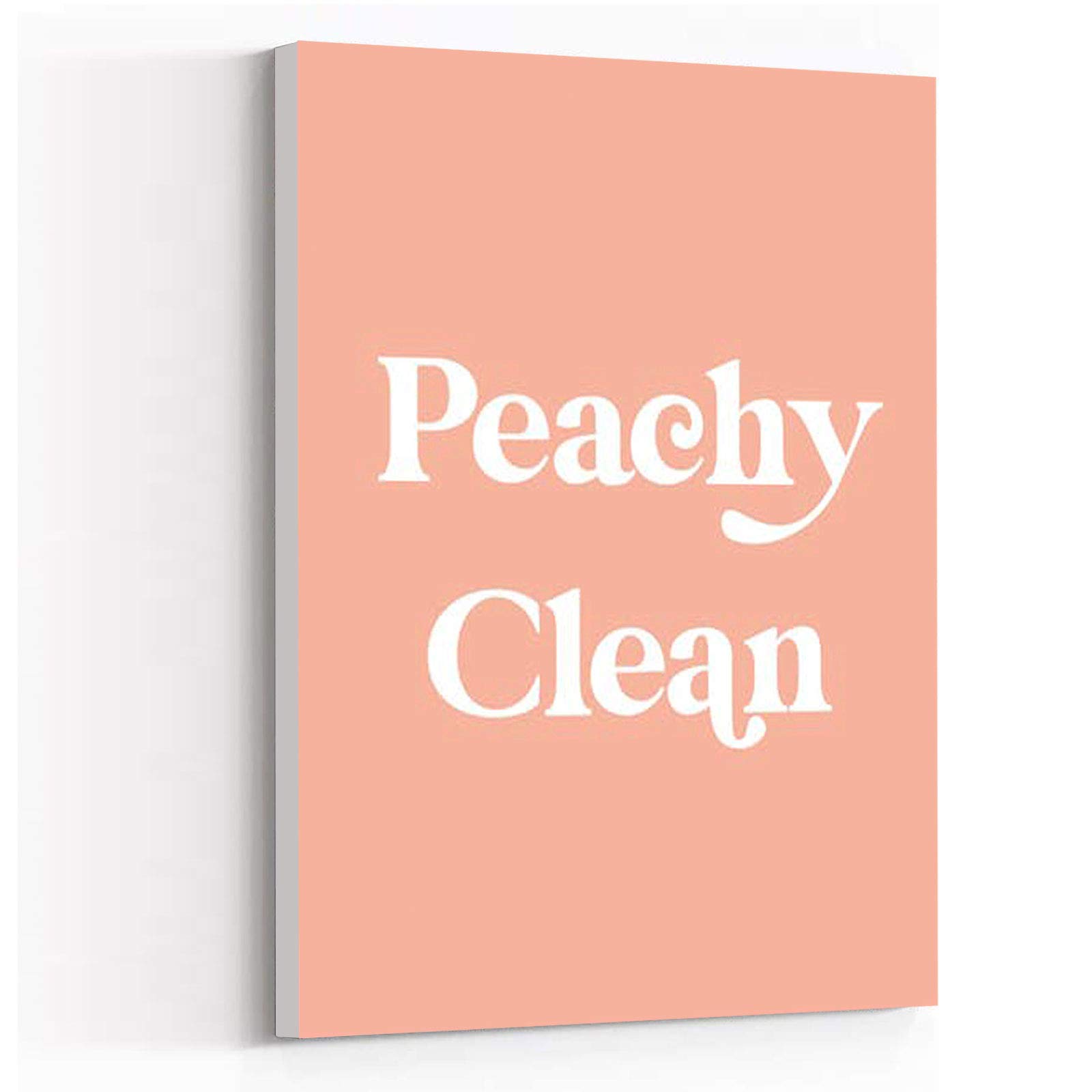 Farmhouse Wall Decor for Living Room & Bedroom - Peachy Clean Framed Canvas Art (12