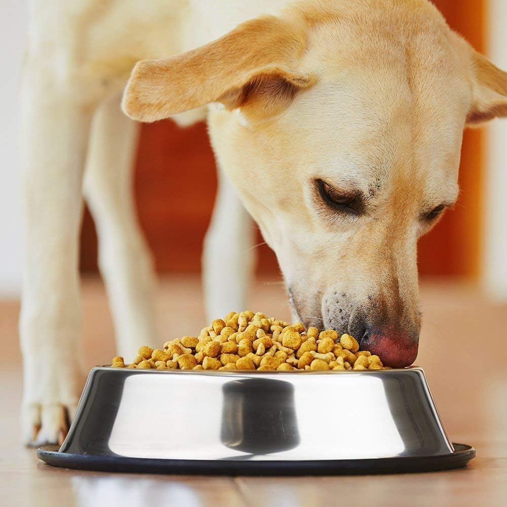 Premium Stainless Steel Dog Bowl with Non-Slip Rubber Base - 200ml Pet Food & Water Dish for Small to Medium Dogs | Durable, Easy Clean, Spill-Proof Design for Home, Travel & Outdoor Use