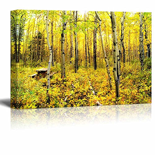 Yellow Trees