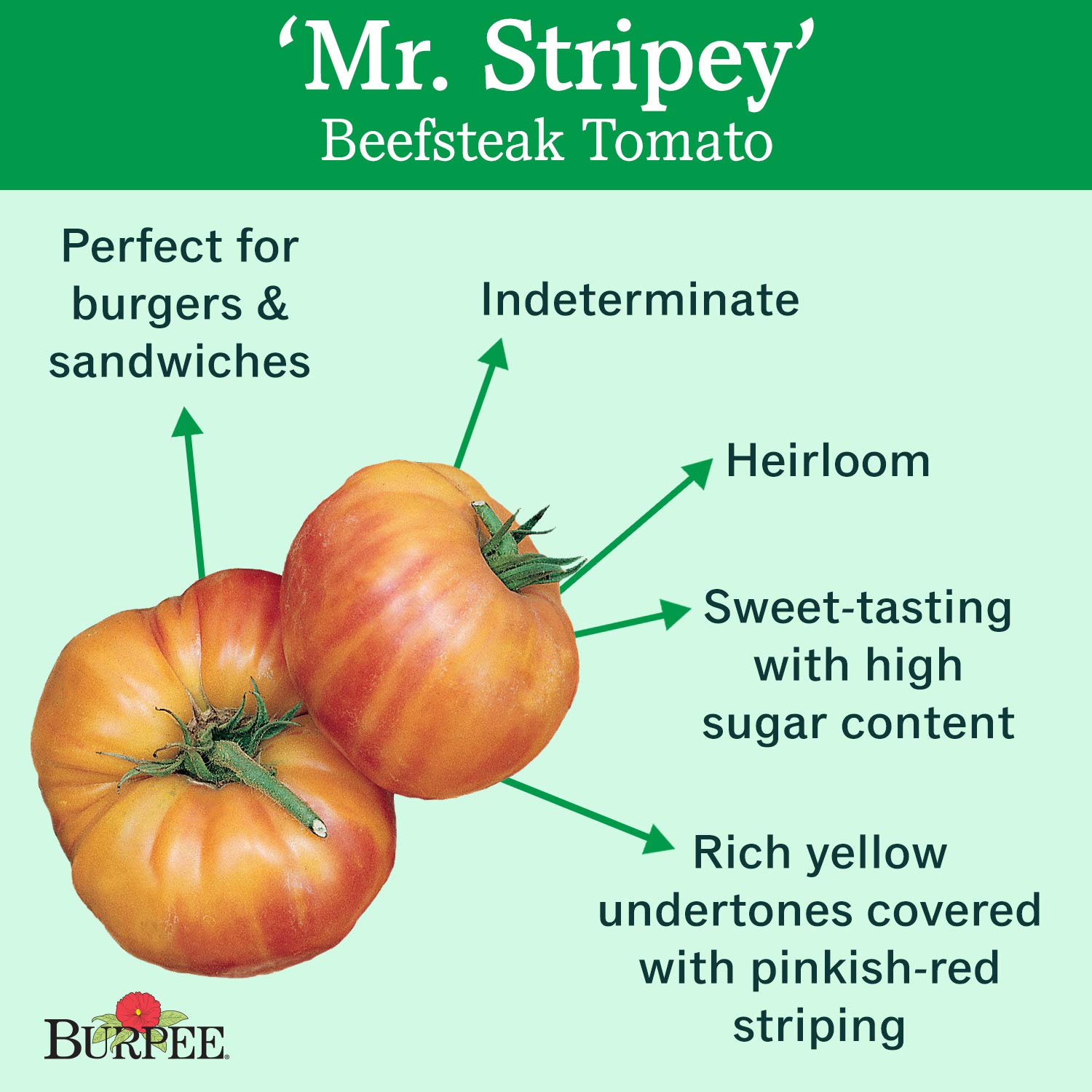Burpee 'Mr. Stripy' Heirloom Beefsteak Tomato Seeds - 30 Non-GMO Seeds for Slicing, Salads & Fresh Eating - Perfect for Home Gardens & Organic Farming