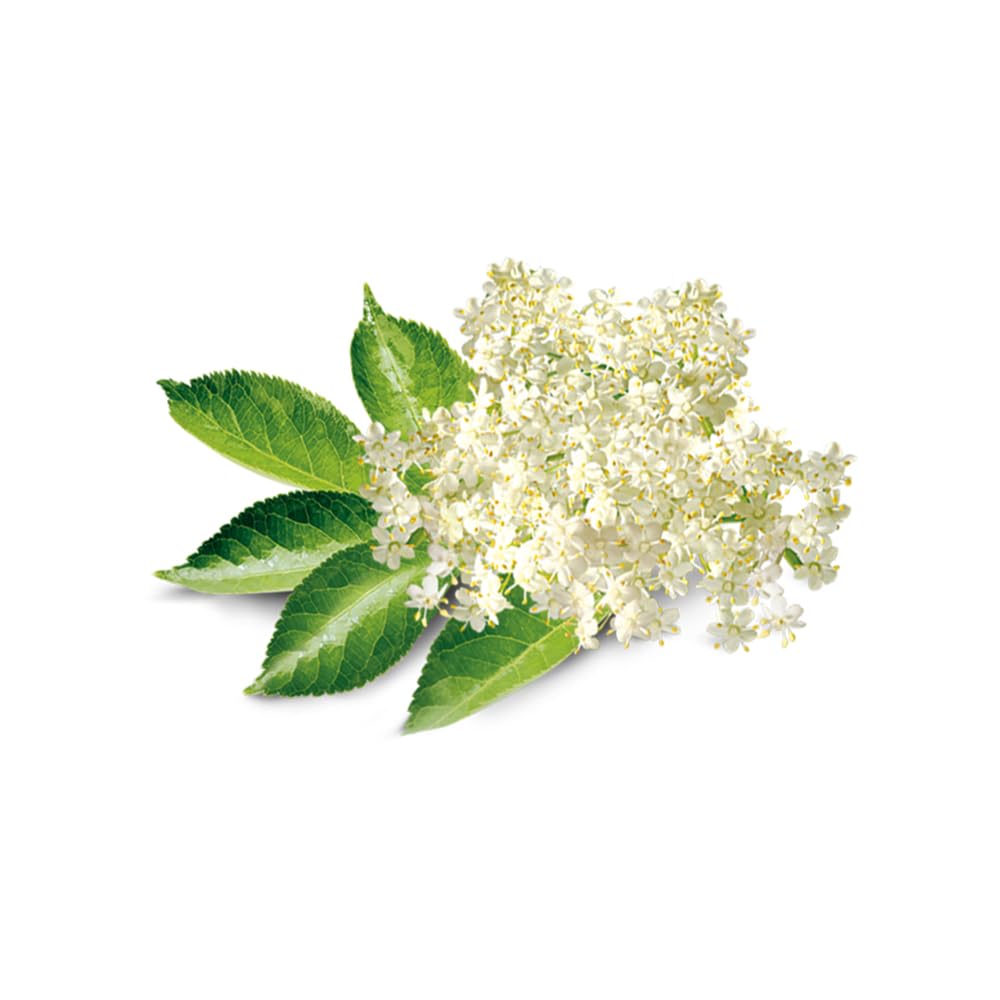 Organic Elderflower Extract - Natural Aromatic Floral Flavoring for Baking & Tea | Non-GMO, Gluten Free, Kosher, Vegan | 32oz Bottle | Perfect for Cocktails, Desserts & Herbal Remedies