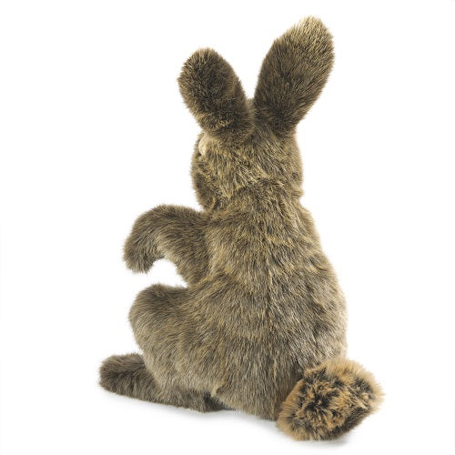 Folkmanis Hare Hand Puppet - Realistic Animal Puppet for Kids, Storytelling & Educational Play - Perfect for Classroom, Theater & Imaginative Play at Home