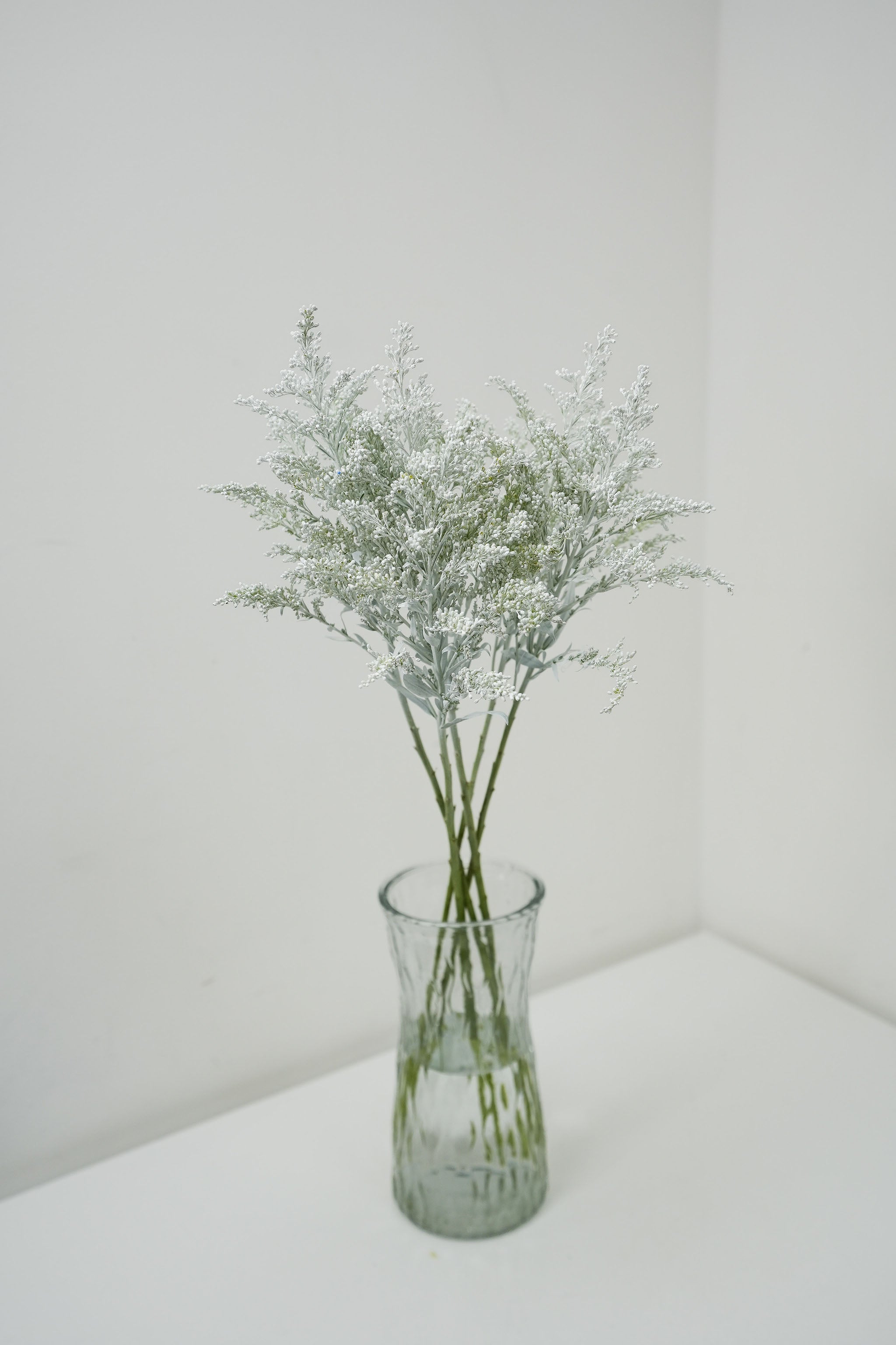 Premium Dried Solidago Aster Flowers for Home Decor, DIY Crafts, and Floral Arrangements - Natural Yellow Goldenrod Blooms for Bouquets, Centerpieces, and Wedding Decorations