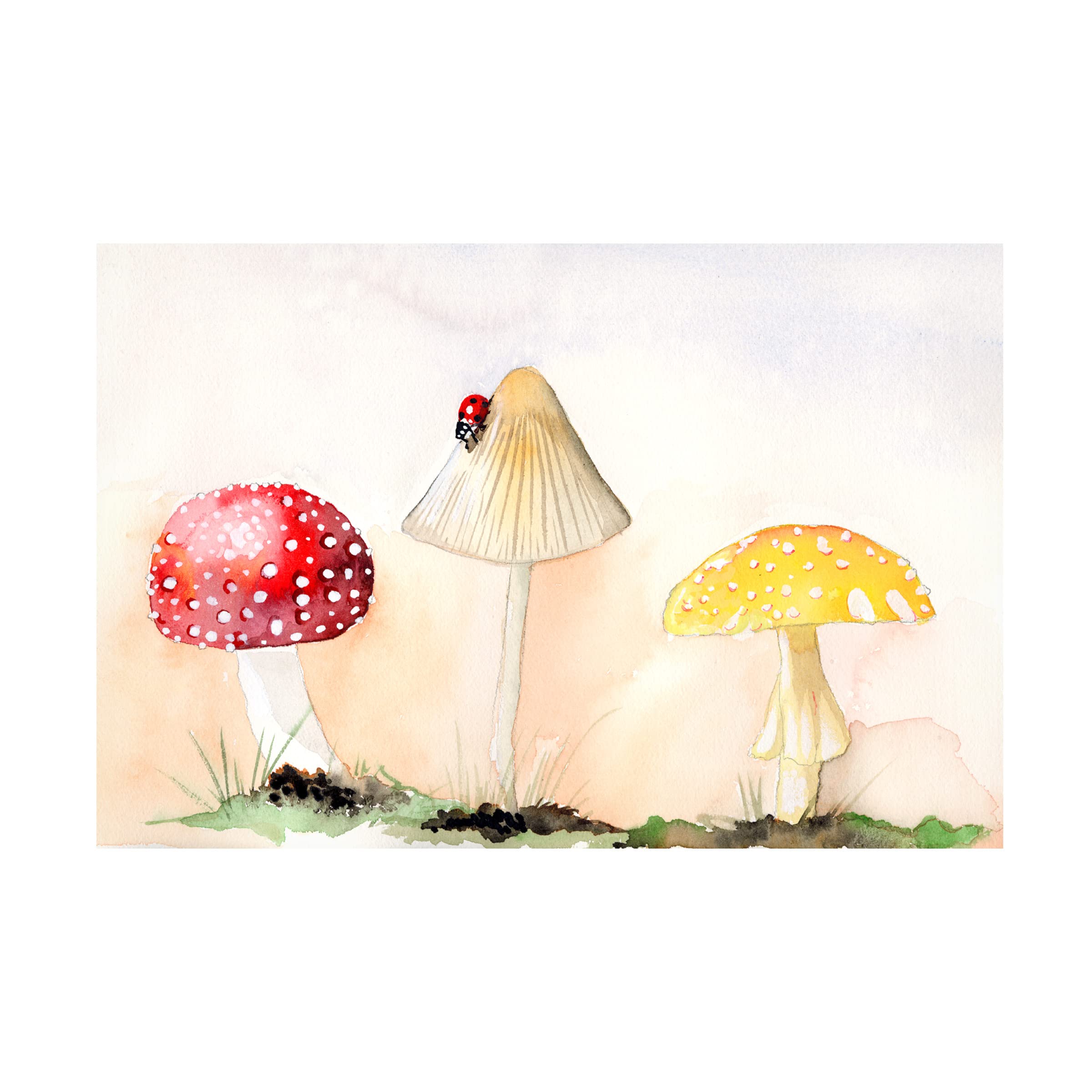 Trademark Fine Art 'Faerie Mushrooms I' Canvas Wall Art Print by Alicia Ludwig - Whimsical Fantasy Home Decor for Living Room, Bedroom & Nursery