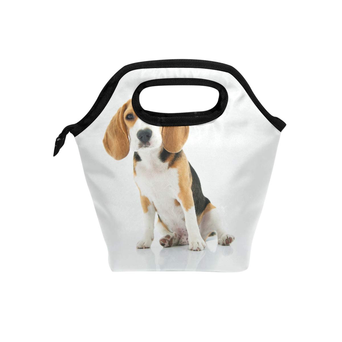 Shiiny Beagle Dog Insulated Lunch Bag for Women, Men & Kids - Reusable Soft Lunch Tote for Work, School & Picnics - Perfect for Office, College & Outdoor Activities
