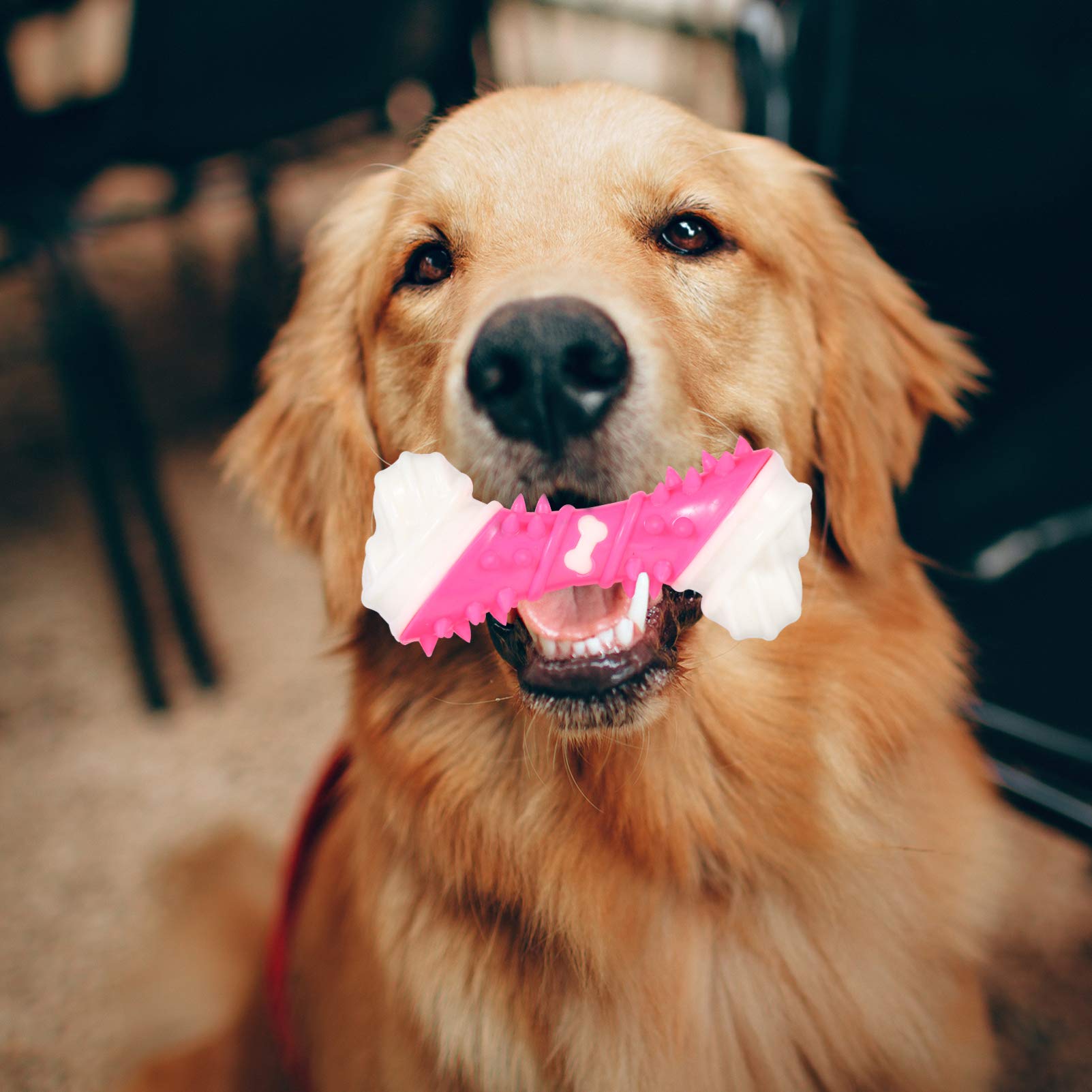 Balacoo Dog Chew Toys for Teething Puppies - Durable Pet Chew Bone & Chewing Stick for Small & Large Dogs - Puppy Teething Relief & Dental Health - Great for Christmas Gifts & Playtime (Pink)