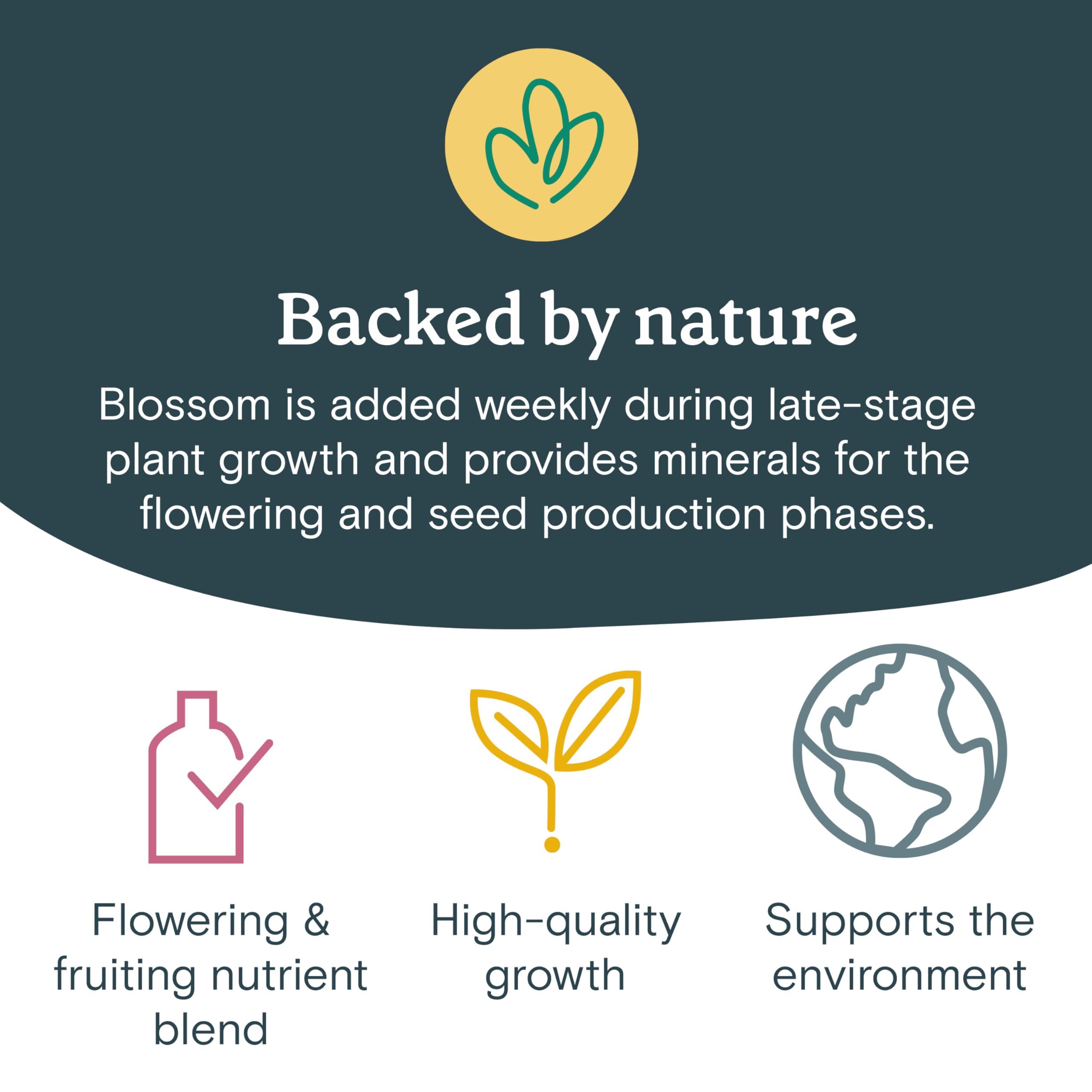 Rise Gardens Blossom Nutrient - Premium Hydroponic Plant Food for Maximum Growth in Indoor Gardens (16.9 oz) | Ideal for Hydroponic Systems, Vertical Farming & Home Gardening