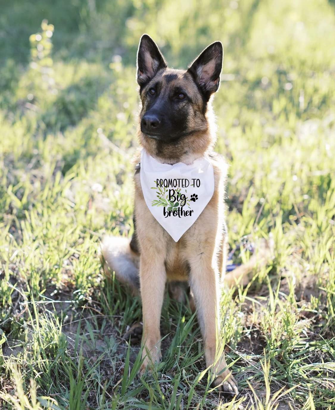 Funny White Flower Pattern Plaid Cotton Dog Bandana - Gender Reveal & Pregnancy Announcement Photo Prop for Pets - Perfect for Dog Lovers & Owners Gifts - Great for Birthdays, Parties & Photo Shoots