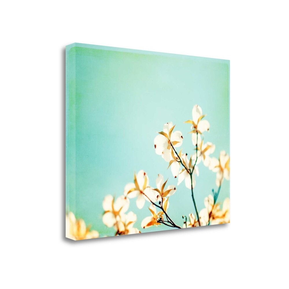 Blossoms Adrift by Carolyn Cochrane - Premium Giclee Art Print on Gallery Wrapped Canvas, Framed Ready to Hang - Perfect for Living Room, Bedroom & Office Wall Decor