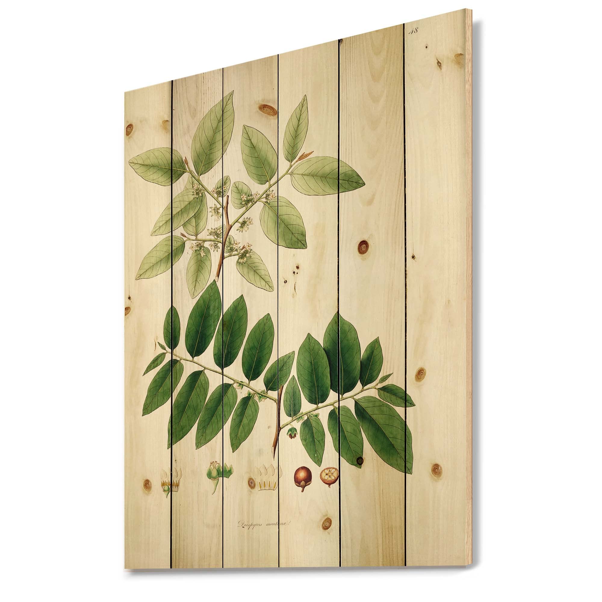 Vintage Botanicals Farmhouse Wood Wall Decor - Large Floral Wall Art Panels Printed on Natural Pine Wood - Perfect for Living Room, Bedroom & Home Office Decoration