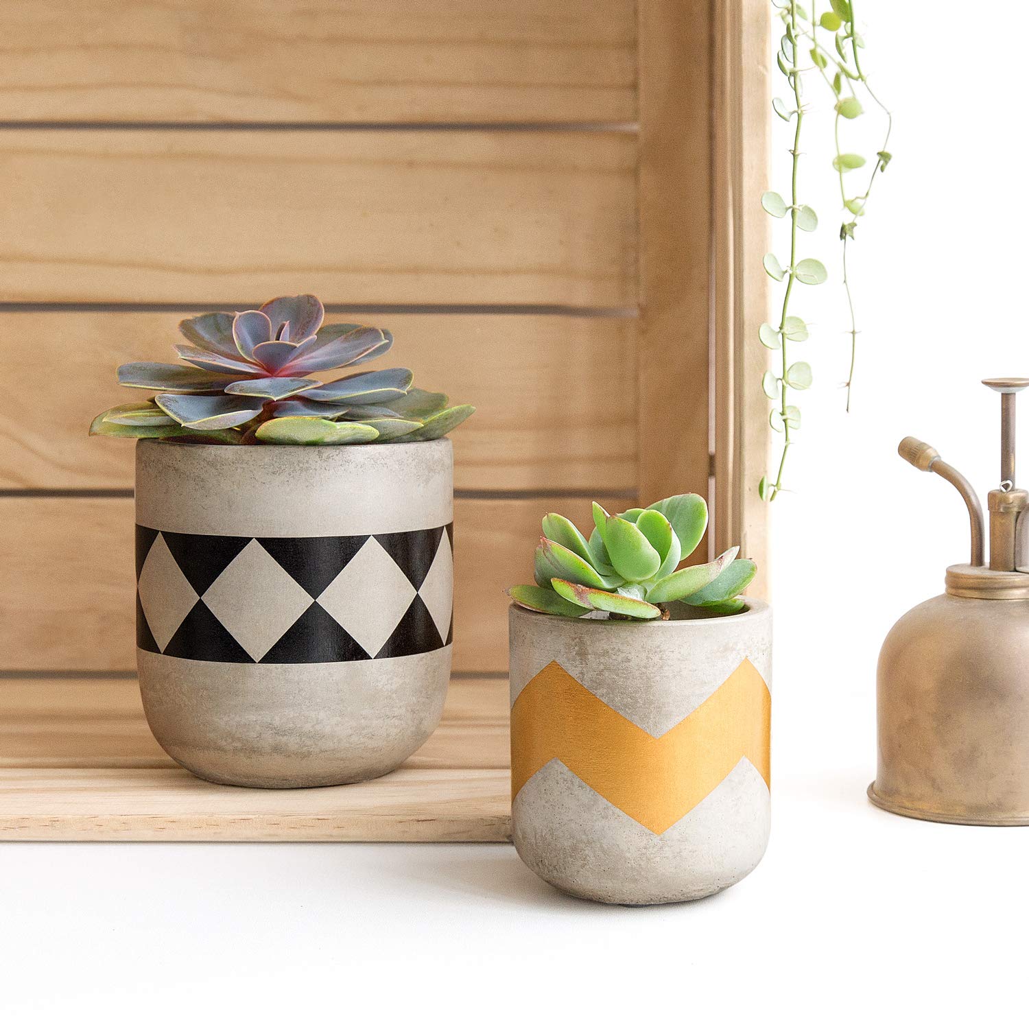 Modern Cement Succulent Planter Set - 3 Pack Small Flower Pots for Indoor Plants, Home & Office Decor (Plants Not Included) - Perfect for Windowsill, Desk, Shelf Display