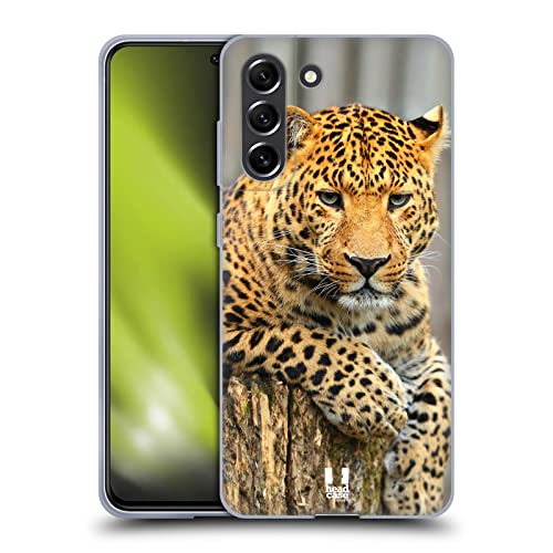 Leopard Portrait