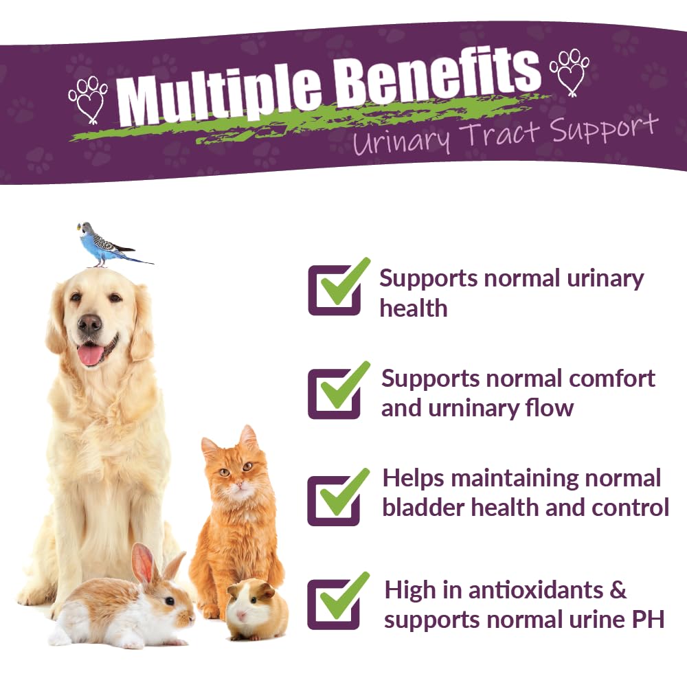 AMBER NATURALZ UTR Urinary Tract Herbal Supplement for Dogs, Cats, Birds, Guinea Pigs & Rabbits | Natural Pet Bladder Support | 4oz Glass Bottle | Made in USA | Supports Healthy Urinary Function for Small Pets